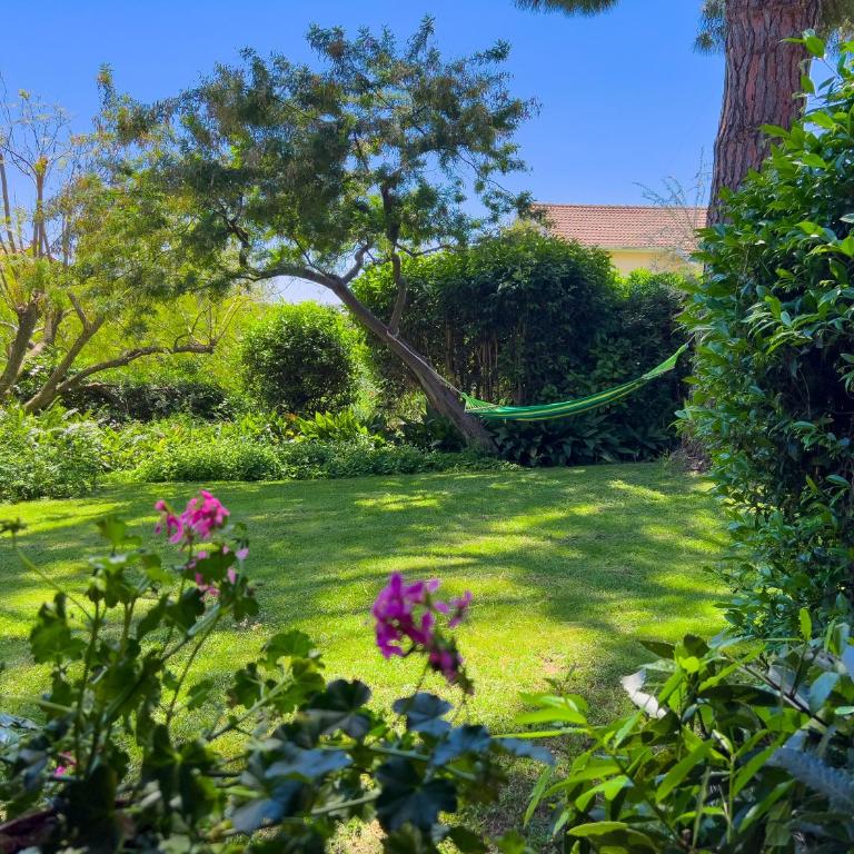 Casa delle Chicche - Imperia - Appartamento con 2 Camere da Letto - 62