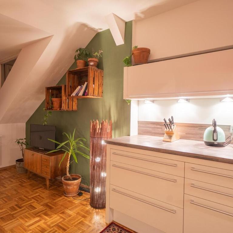Bright Central Secret Spot Griesplatz - One-Bedroom Apartment - 14