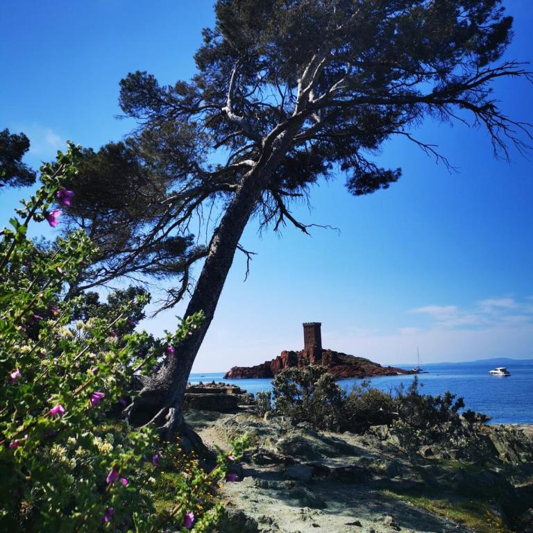 Charmant 2 pièces proche centre ville et mer - Appartamento con 2 Camere da Letto - 8