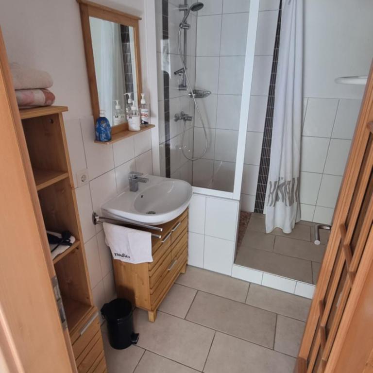 Souterrain Apartment mit Gartenblick - Apartment mit 1 Schlafzimmer - 6