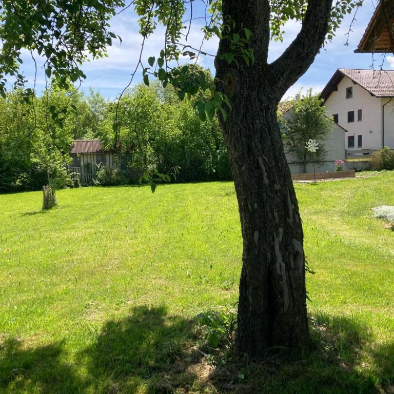 Souterrain Apartment mit Gartenblick - Apartment mit 1 Schlafzimmer - 8