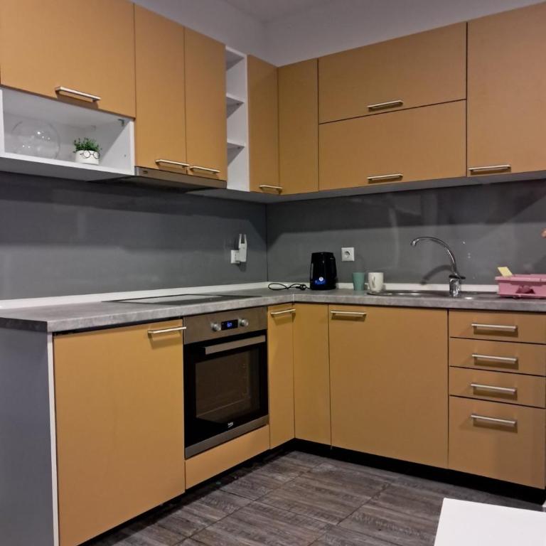 Apartment Vila Tara - Comfort One-Bedroom Apartment with Balcony and River View - 25