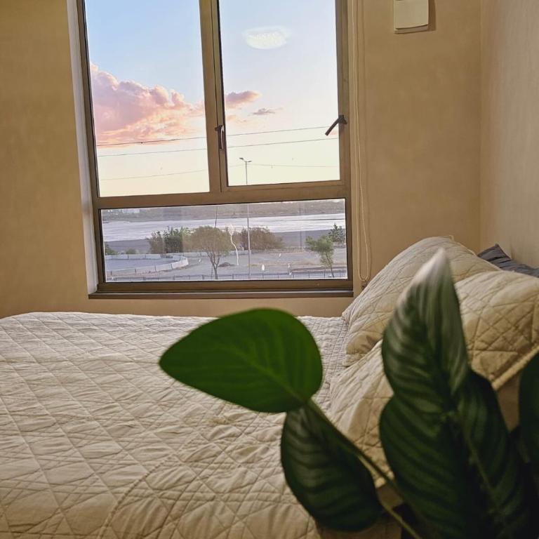 Furnished, Good Connection to the City - Apartamento de 1 dormitorio - 11