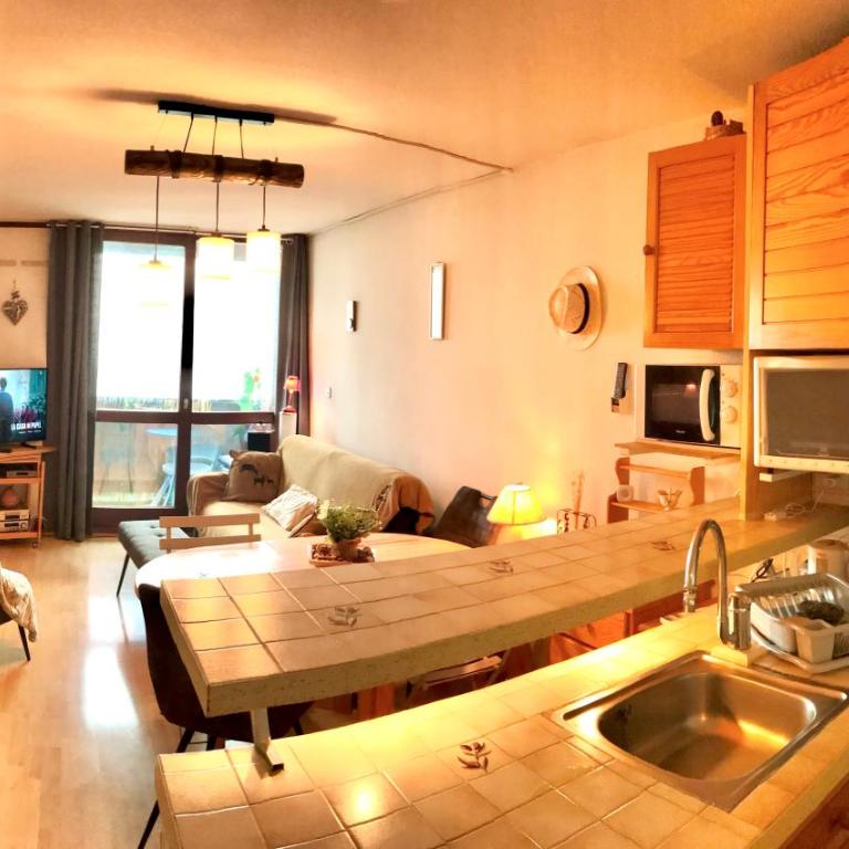 Appartement, cosy, balcon, plein Sud - Appartement 1 Chambre - 1