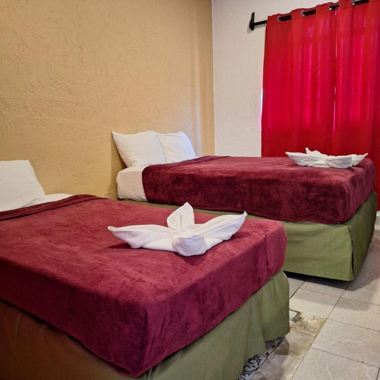 Hotel Villas San Ignacio - Habitación Doble Deluxe - 2 camas - 9