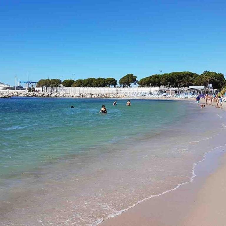 Superbe appartement 5min de la plage - Appartement 1 Chambre - 7