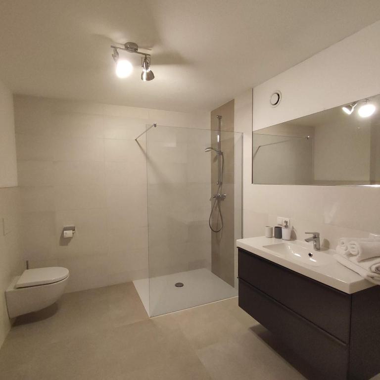 Apart Loris - Apartamento de 1 dormitorio con ducha - 14