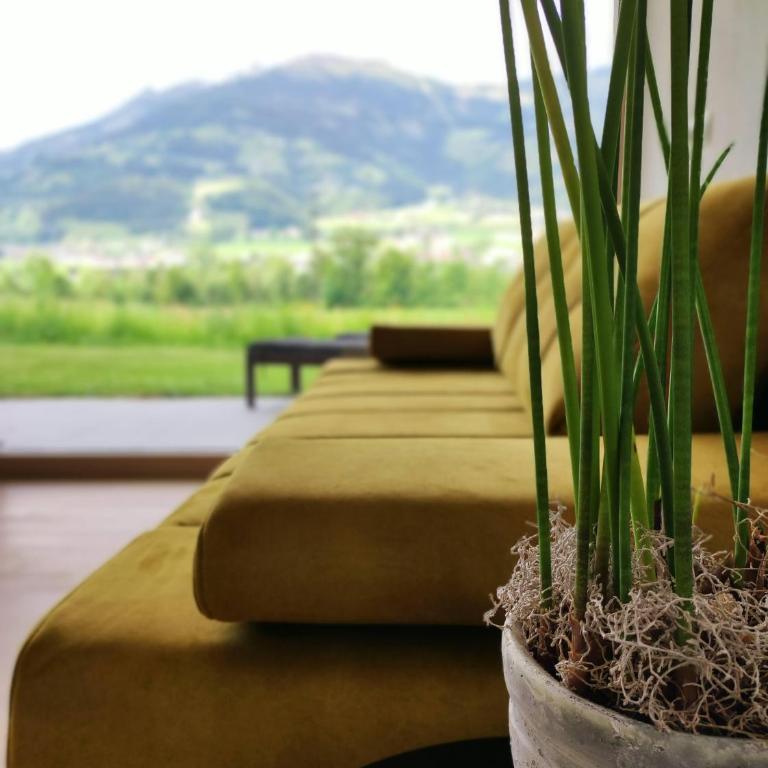 Apart Loris - Apartamento de 1 dormitorio con ducha - 11