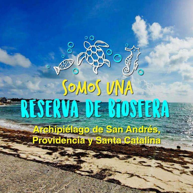 Apartamento Bahia Sonora - Apartamento de 1 dormitorio - 15