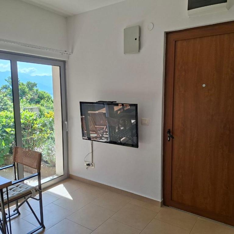 Acacia Hill olive tree apartment - One-Bedroom Apartment - 4