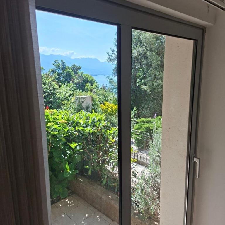 Acacia Hill olive tree apartment - One-Bedroom Apartment - 10