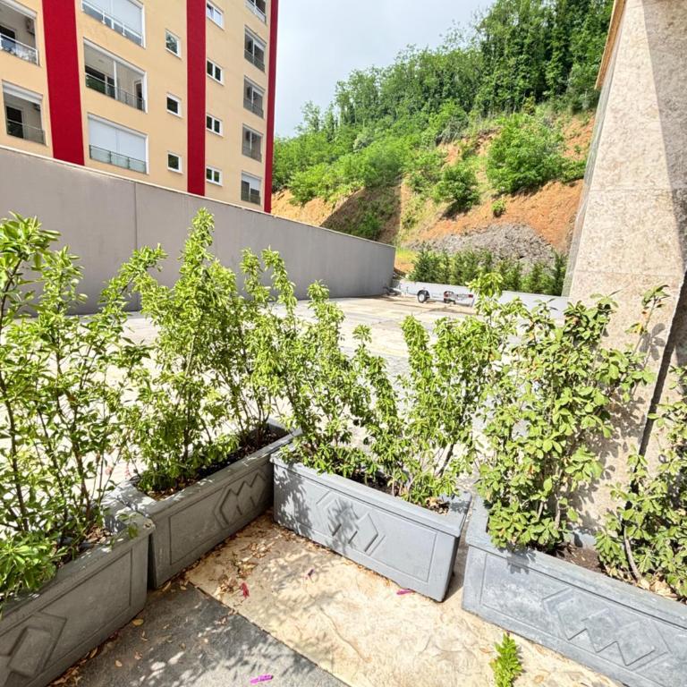 Becici Garden - One-Bedroom Apartment - 5