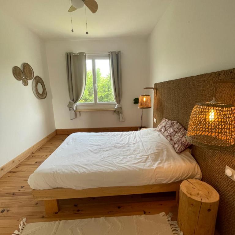Cowabunga guesthouse - peaceful and spacious, beach is just 200m away - Grande Chambre Double - 5