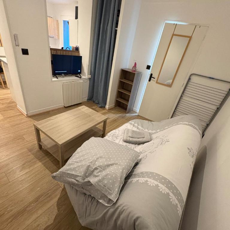 Les Allées du Parc - Apartment mit 1 Schlafzimmer - 2