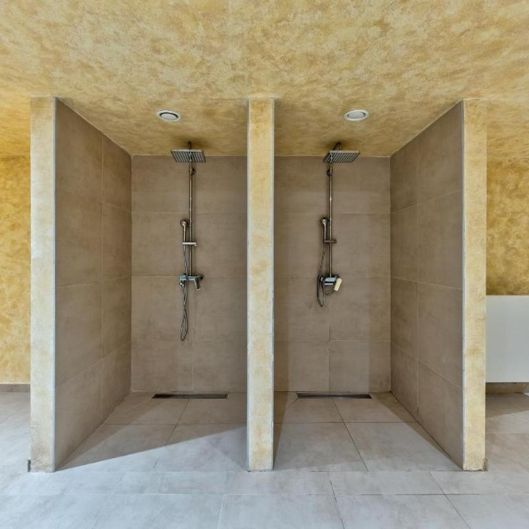 Golden Pine Lux Wellness and Spa - Apartman sa 1 Spavaćom Sobom - 38