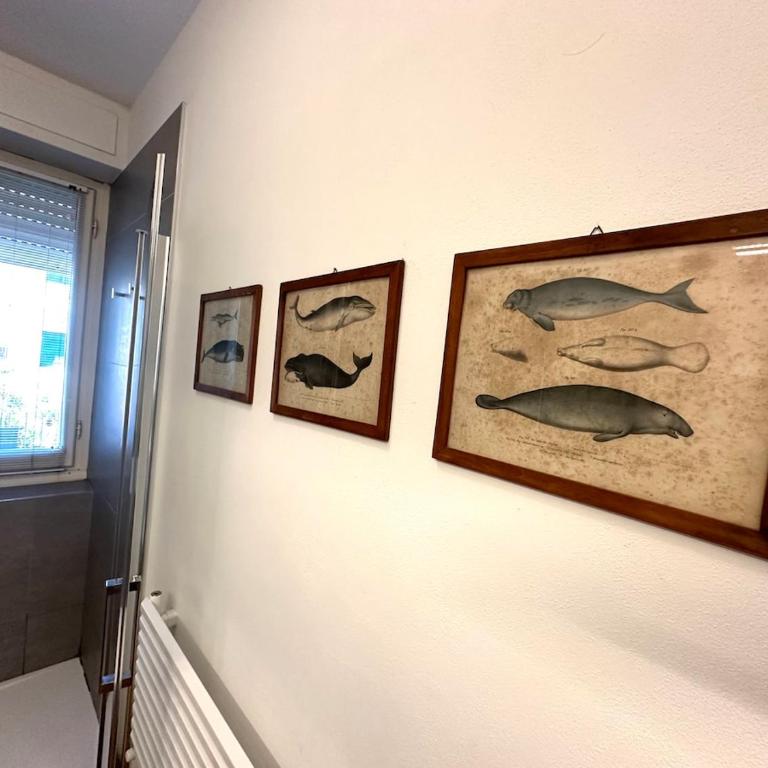 Sea view design apartment in centre - One-Bedroom Apartment - 5