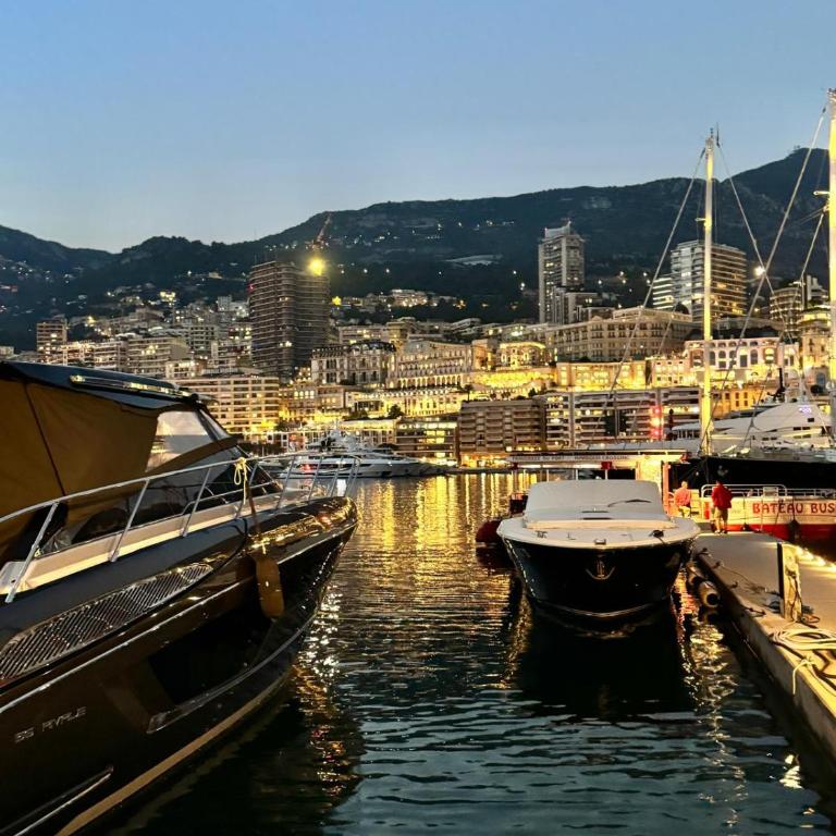 Casa Sud Menton Superbe front mer, appartement rénové, parking & climatisation - Studio mit Meerblick - 70