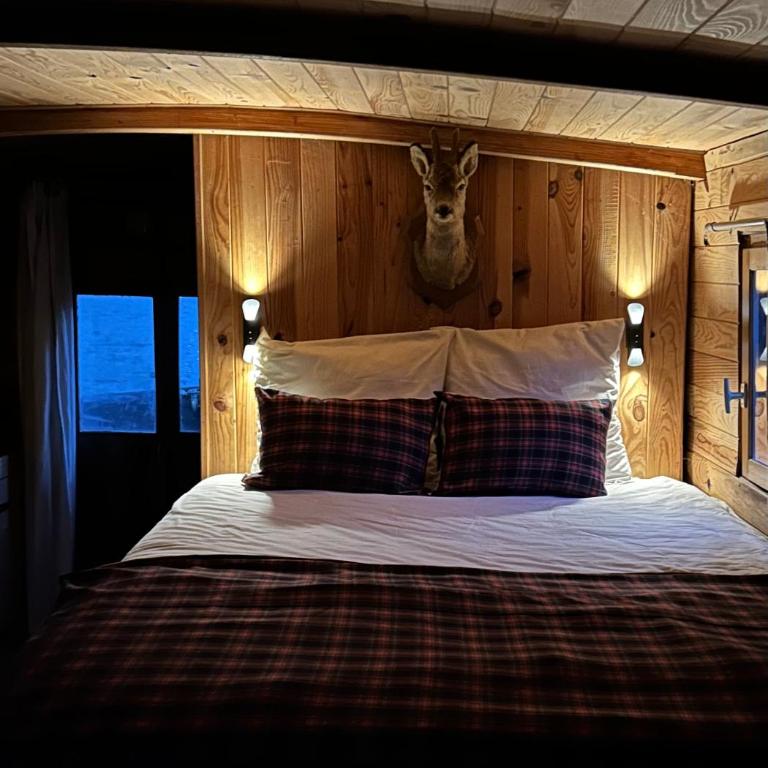 Toue cabanée romantique - Vue Maine et Château - Centre Angers - Mobile Home - 2