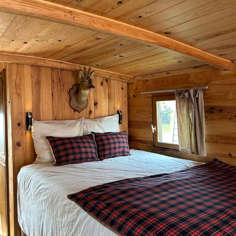 Toue cabanée romantique - Vue Maine et Château - Centre Angers - Mobile Home - 11