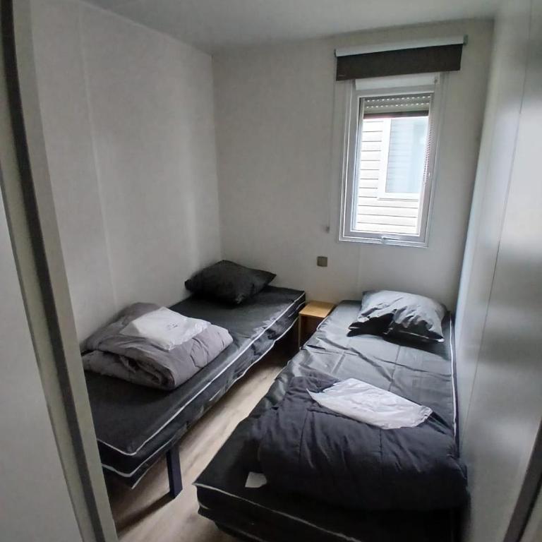 Mobilhome dans les Pins - Mobilheim - 19