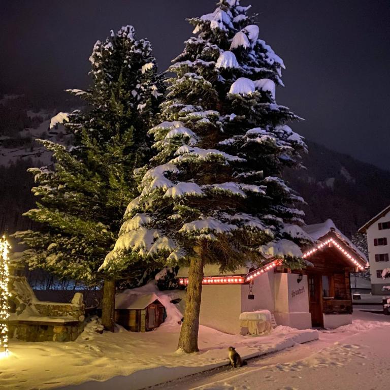 Chalet Stadel Alpine Comfort - Chalet - 14
