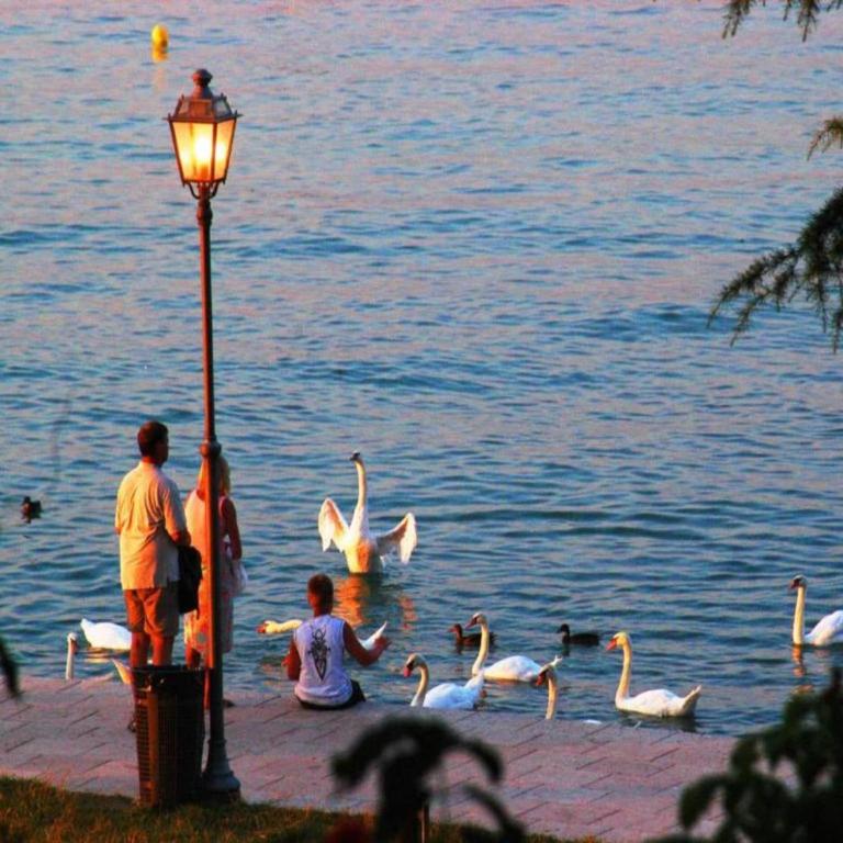 Apartment near Lake Garda with Pool - Appartamento con 2 Camere da Letto - 37