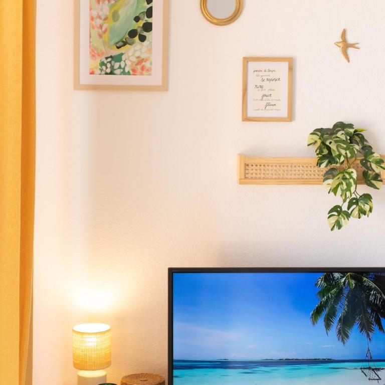 Sous le Soleil - Appartement 1 Chambre - 9