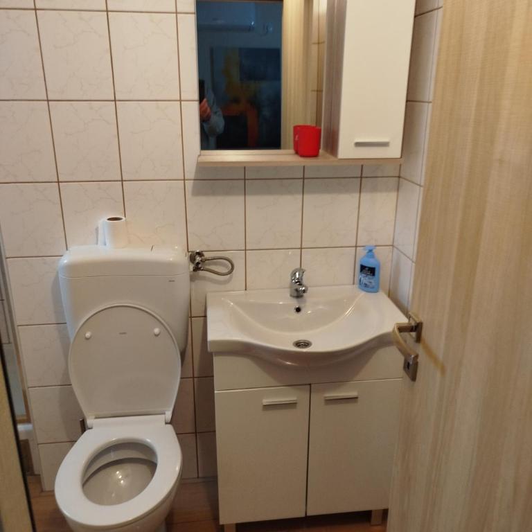 STUDIO Apartman AS - Apartman sa 1 Spavaćom Sobom - 4