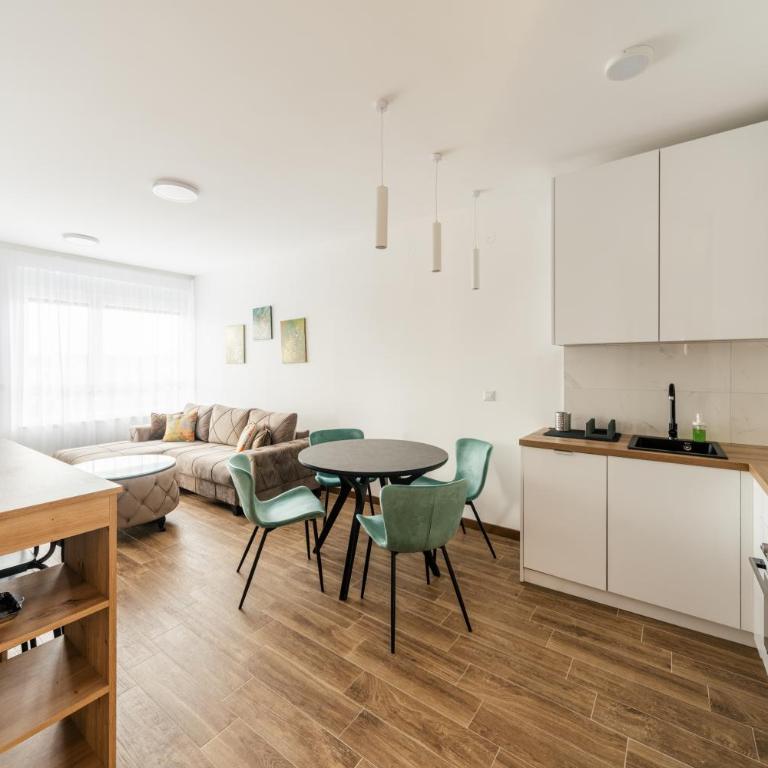 Harizma apartmani - Lena - Premium Apartman sa 1 Spavaćom Sobom - 10