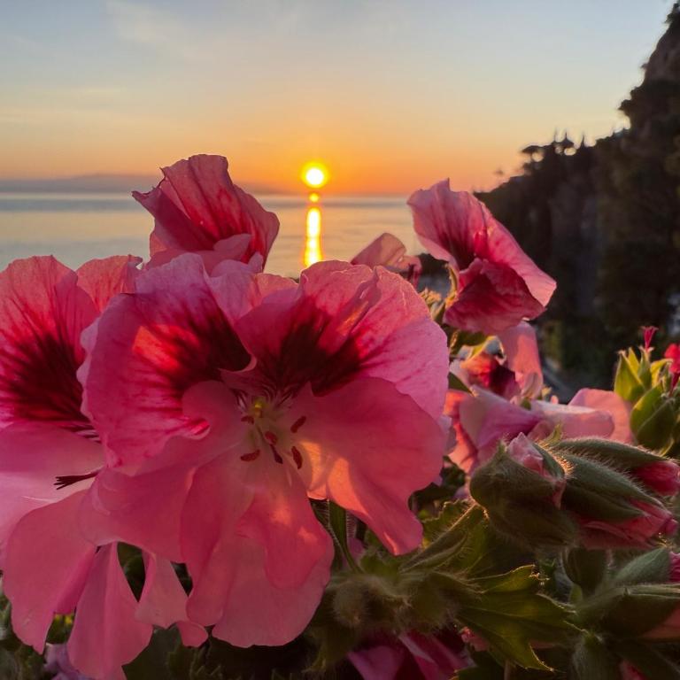 Paradise By The Sea - Appartamento con 1 Camera da Letto - 52