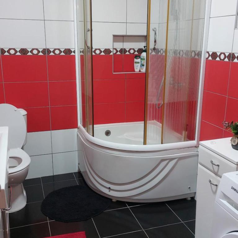 Gajic & Milini - Apartman sa 2 Spavaće Sobe - 15