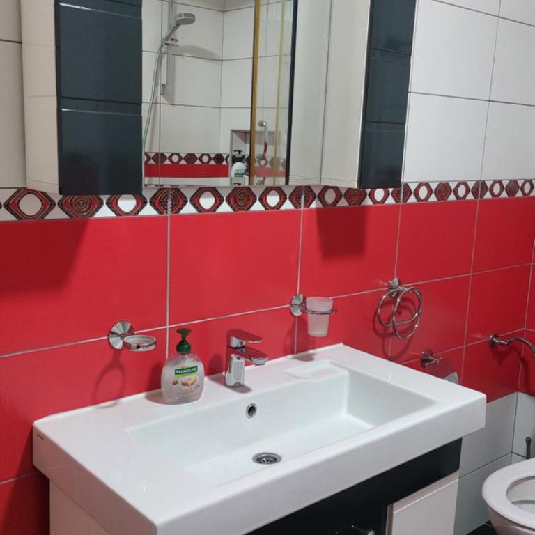 Gajic & Milini - Apartman sa 2 Spavaće Sobe - 14