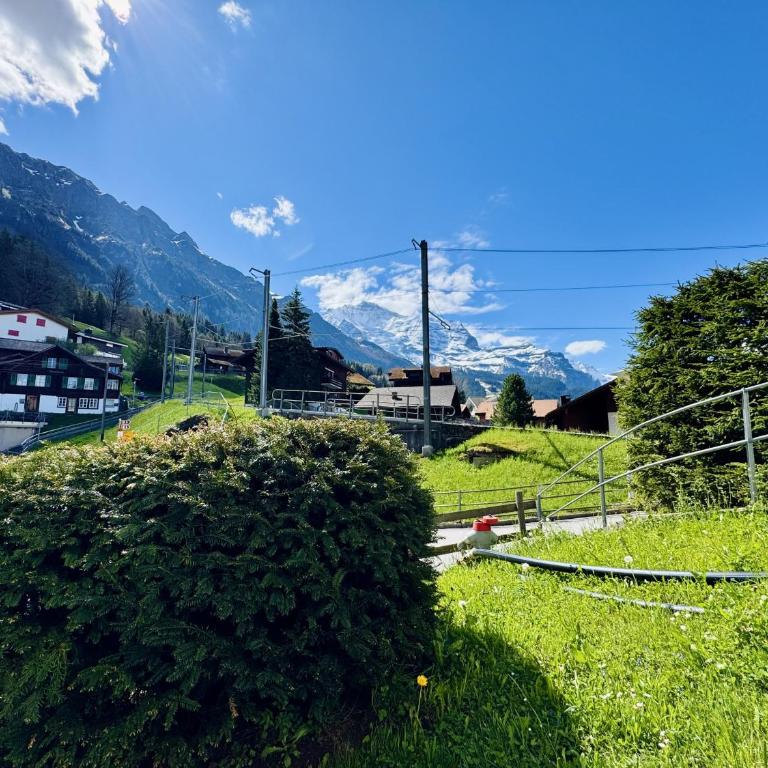 Stella Alpina 1 - Apartment mit 1 Schlafzimmer und Terrasse - 4
