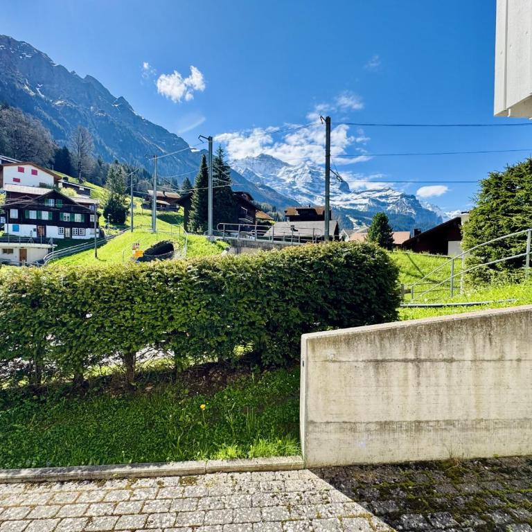 Stella Alpina 1 - Apartment mit 1 Schlafzimmer und Terrasse - 7
