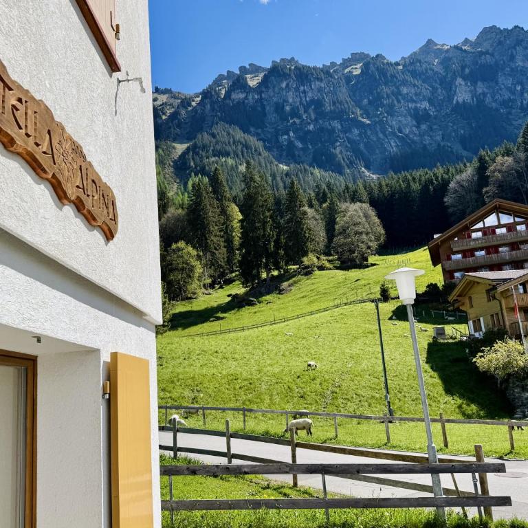 Stella Alpina 1 - Apartment mit 1 Schlafzimmer und Terrasse - 25