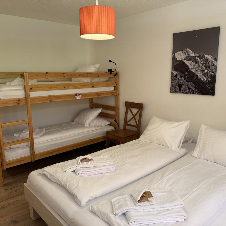 Stella Alpina 1 - Apartment mit 1 Schlafzimmer und Terrasse - 31