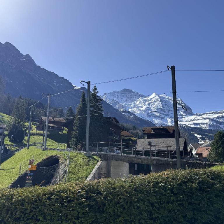 Stella Alpina 1 - Apartment mit 1 Schlafzimmer und Terrasse - 39
