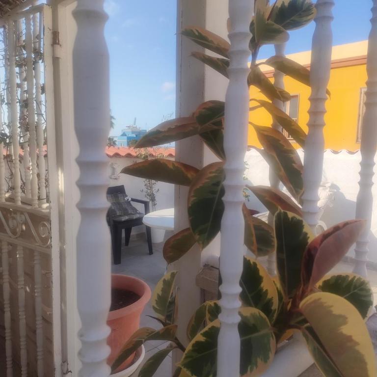 Alba 2 apartamento y Alba 3 habitación con baño - Apartamento con terraza - 51