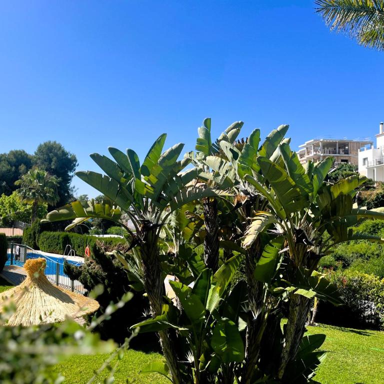 Apartment Burriana Beach Nerja - Apartamento de 2 dormitorios - 7