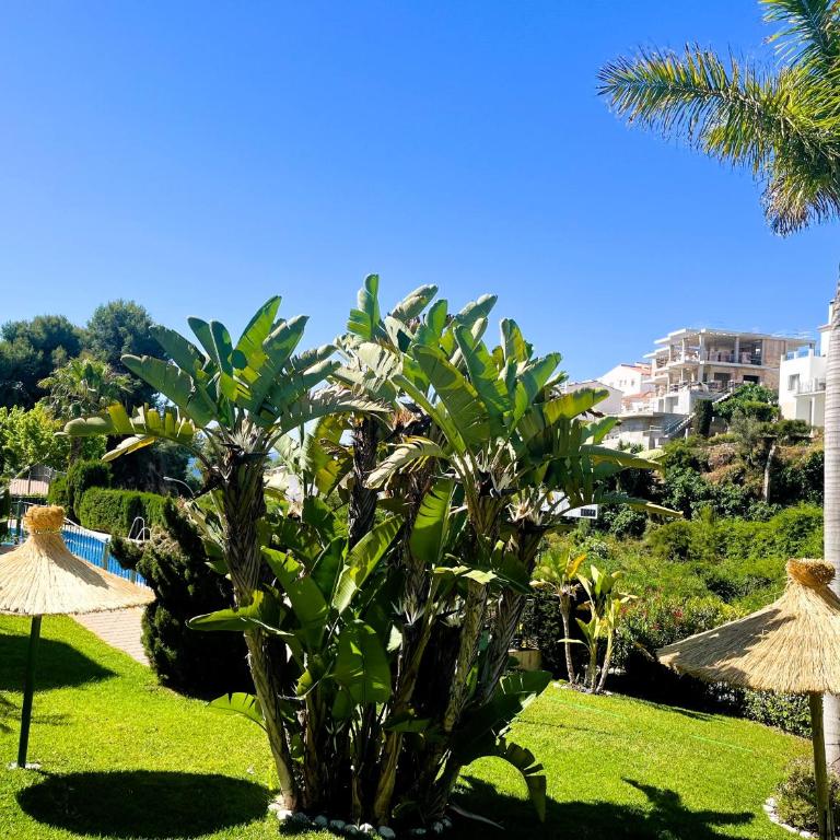 Apartment Burriana Beach Nerja - Apartamento de 2 dormitorios - 15