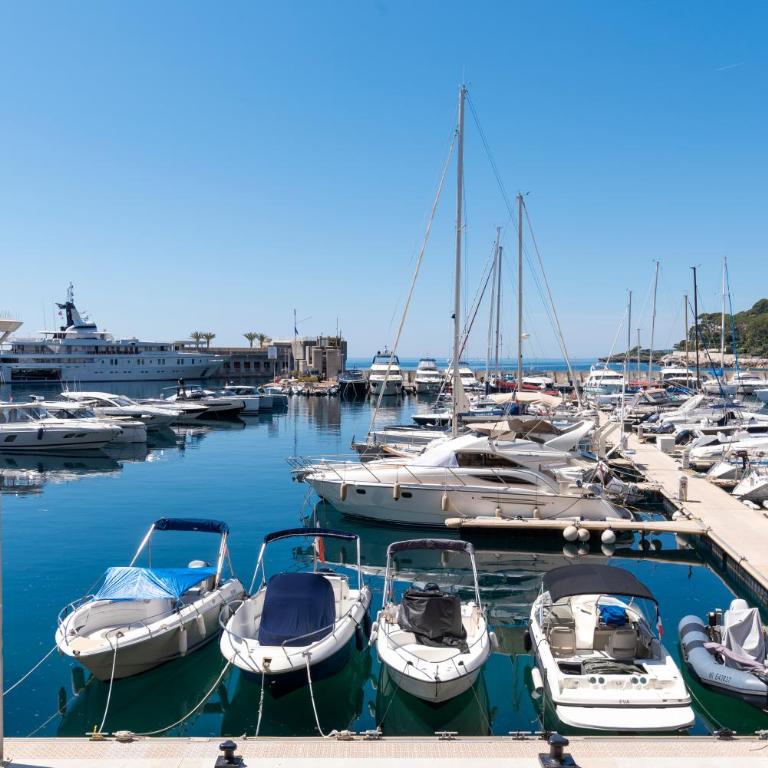 Résidence Cap Winston - Appartement 1 Chambre avec Vue sur la Mer et Terrasse - 2