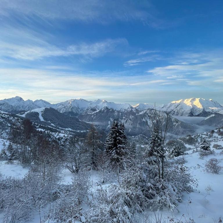 L'horizon de L'Alpe - Alpe d'Huez - Appartement 1 Chambre avec Vue - 23