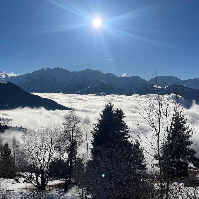 L'horizon de L'Alpe - Alpe d'Huez - Appartement 1 Chambre avec Vue - 22