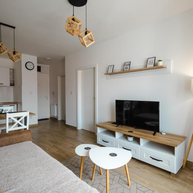 Apartman Anika Banja Koviljača - Apartman sa 1 Spavaćom Sobom - 8