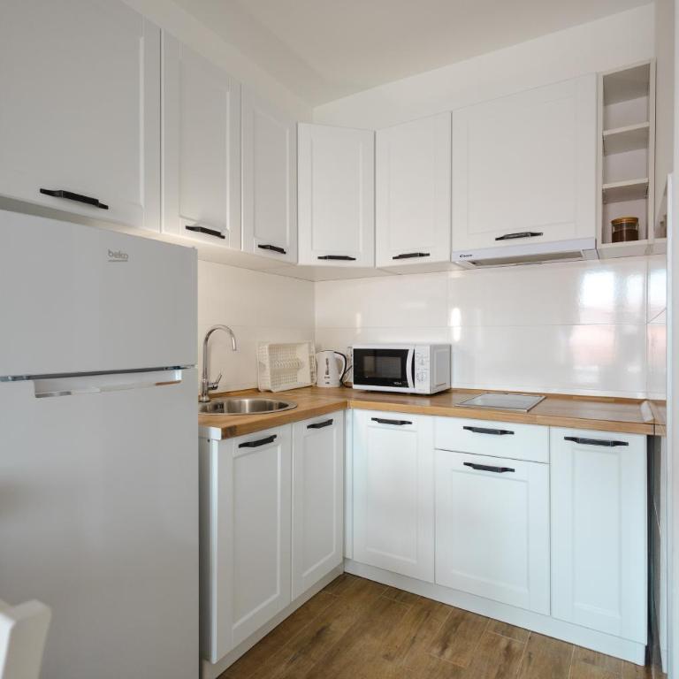 Apartman Anika Banja Koviljača - Apartman sa 1 Spavaćom Sobom - 9