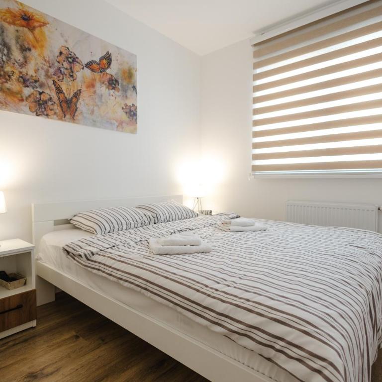 Apartman Anika Banja Koviljača - Apartman sa 1 Spavaćom Sobom - 13