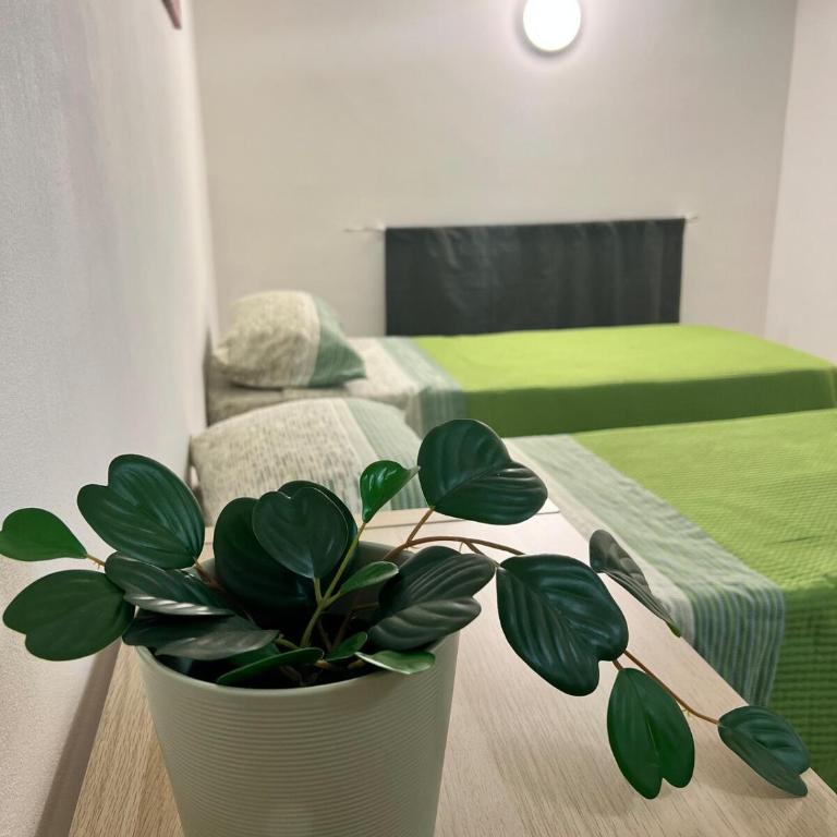 Barcaioli Home2 - Three-Bedroom House - 28