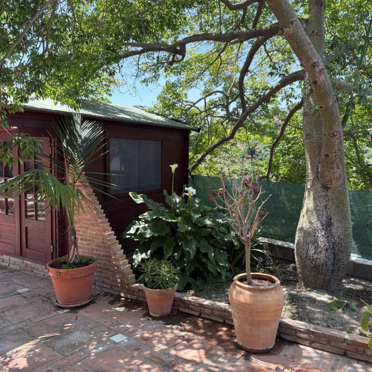 Villa Cañadú - Casa Vacacional de 3 dormitorios - 9