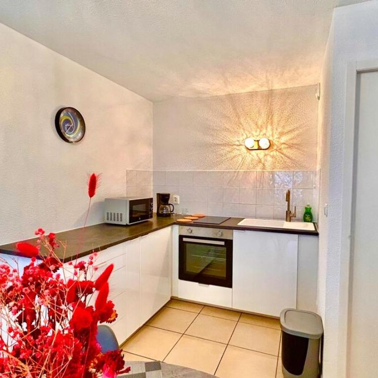 Jolie T3 Dans le parc des Thermes - Appartement 2 Chambres - 1