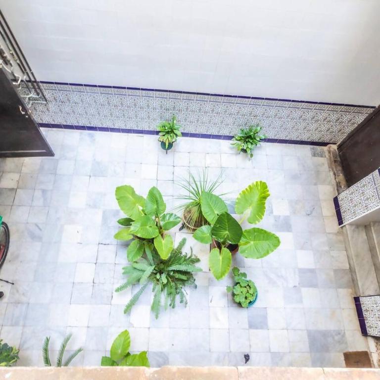 SH L'Azotea D'Horozco. Ático con terraza. AC, WiFi - Apartamento Ático - 34